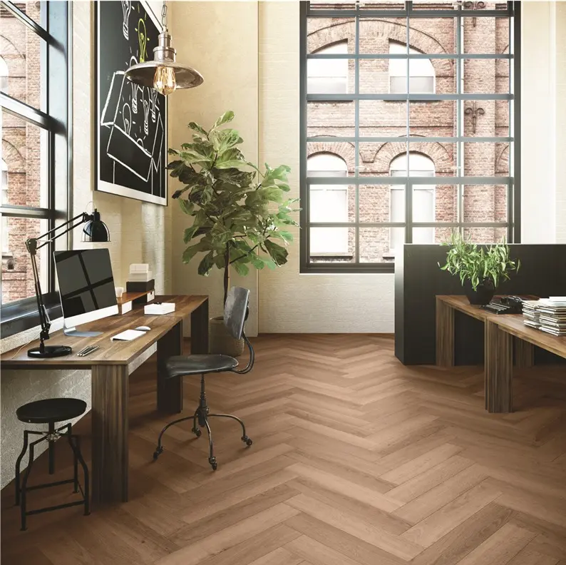 WhatsApp Image 2026-02-16 at 16.48.10.webp