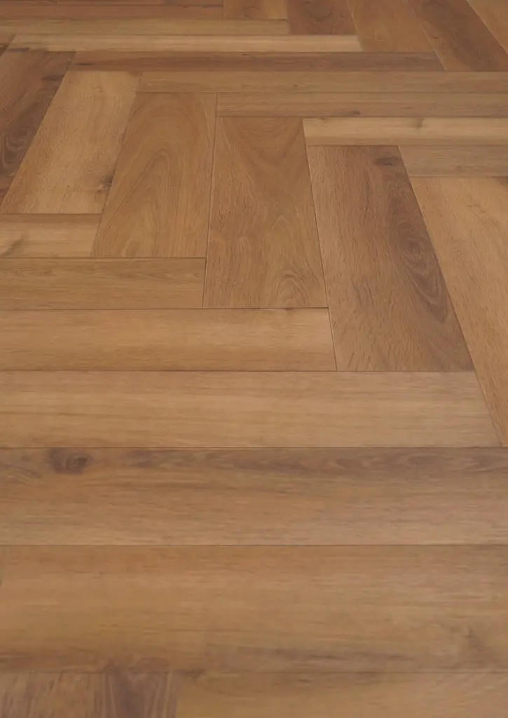 WhatsApp Image 2026-02-16 at 16.48.02.webp