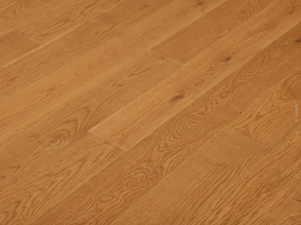 Evasion - Merignac - V15182_2.webp