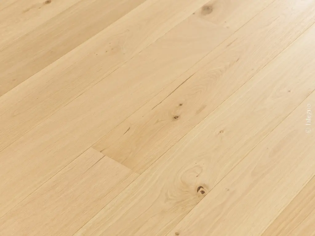 Evasion - Invisible - V15275_2.webp