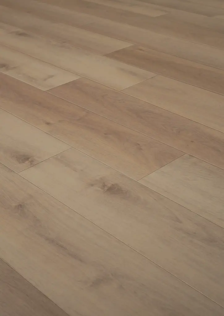 WhatsApp Image 2026-02-02 at 14.25.37.webp