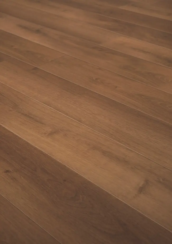 WhatsApp Image 2026-02-02 at 14.21.36.webp