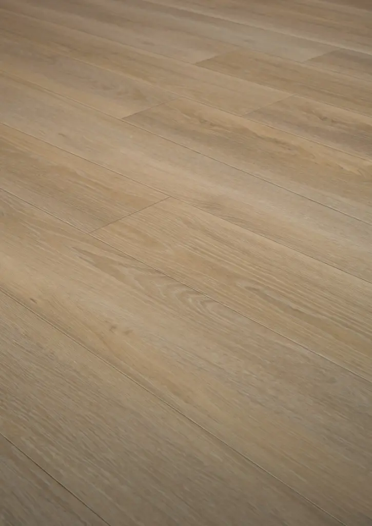 WhatsApp Image 2026-01-30 at 16.02.56 (1).webp