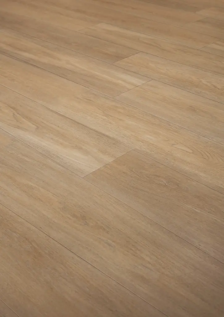 WhatsApp Image 2026-02-02 at 16.42.40.webp