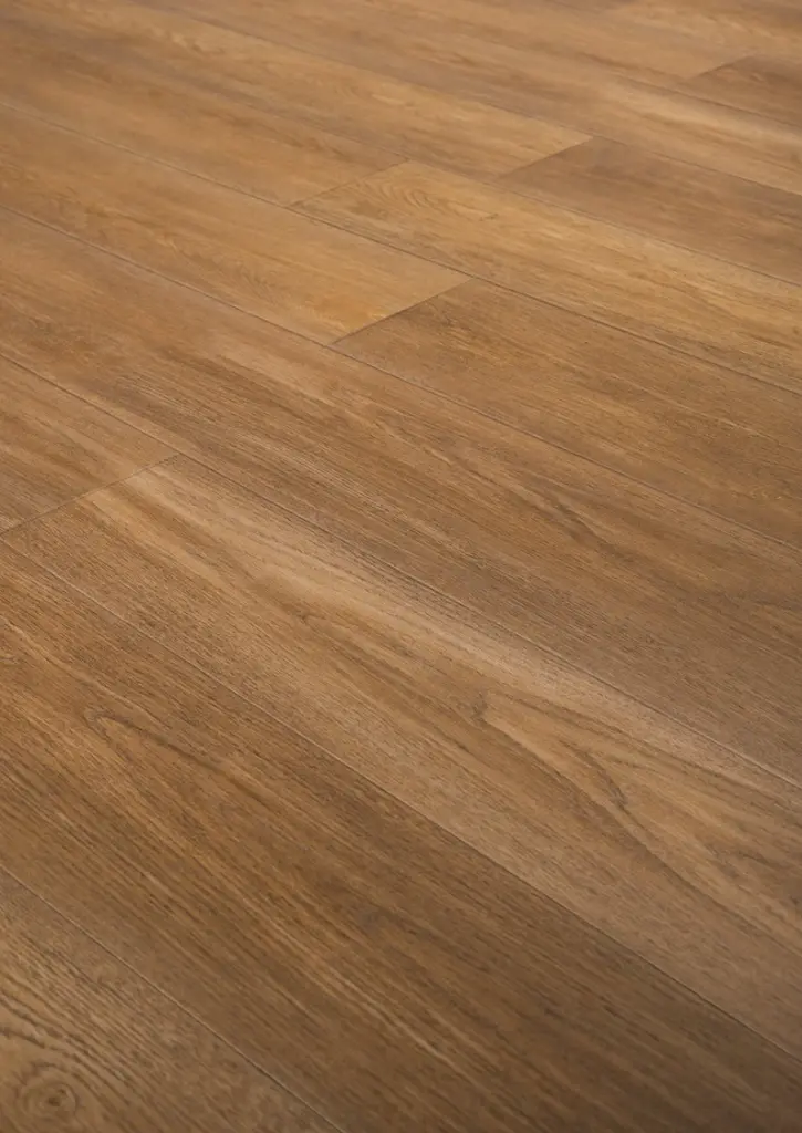 WhatsApp Image 2026-02-02 at 16.43.24.webp