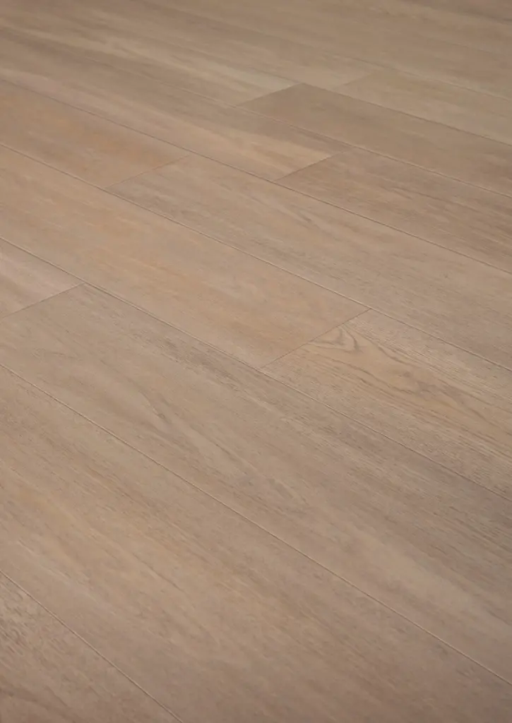 WhatsApp Image 2026-02-02 at 16.43.42.webp