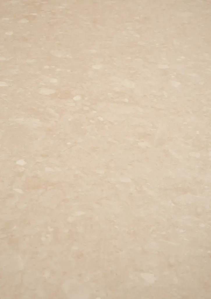 WhatsApp Image 2026-02-02 at 11.06.21.webp