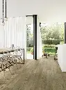 tasmanian_oak_667m_cv_beauflor_rsh_01.webp