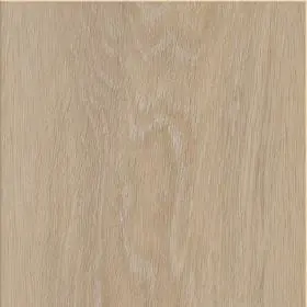 Invictus Maximus Click XL silk oak latte - 6mm - 0.55