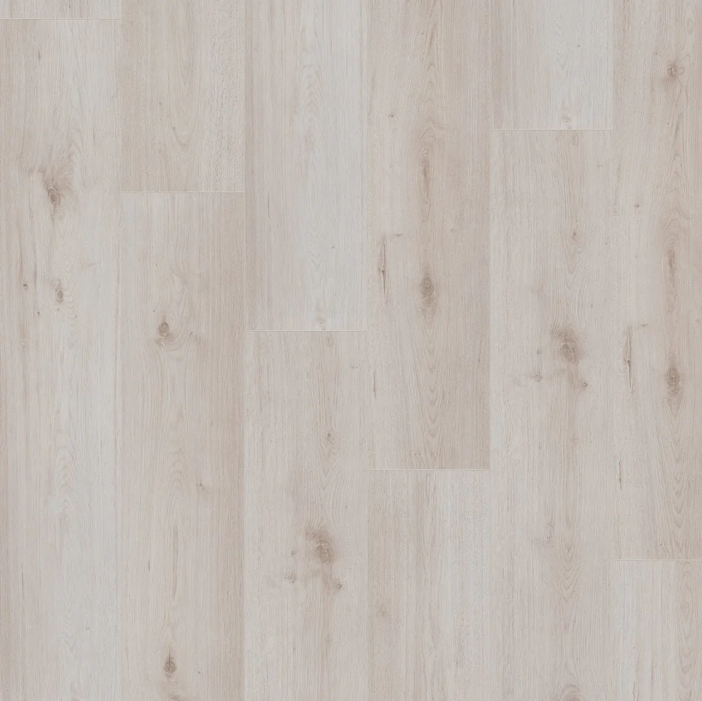 PrimoFloor laminaat XtraWide kleur lichtgrijs eik-8mm