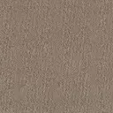Creatuft Sheba tapijt kleur 1030 greige 8mm 4m breed