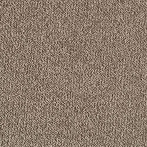 Creatuft Sheba tapijt kleur 1030 greige 8mm 5m breed