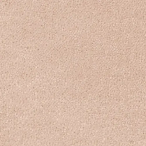 Creatuft Sheba tapijt kleur 1184 rijstpoeder 8mm 5m breed