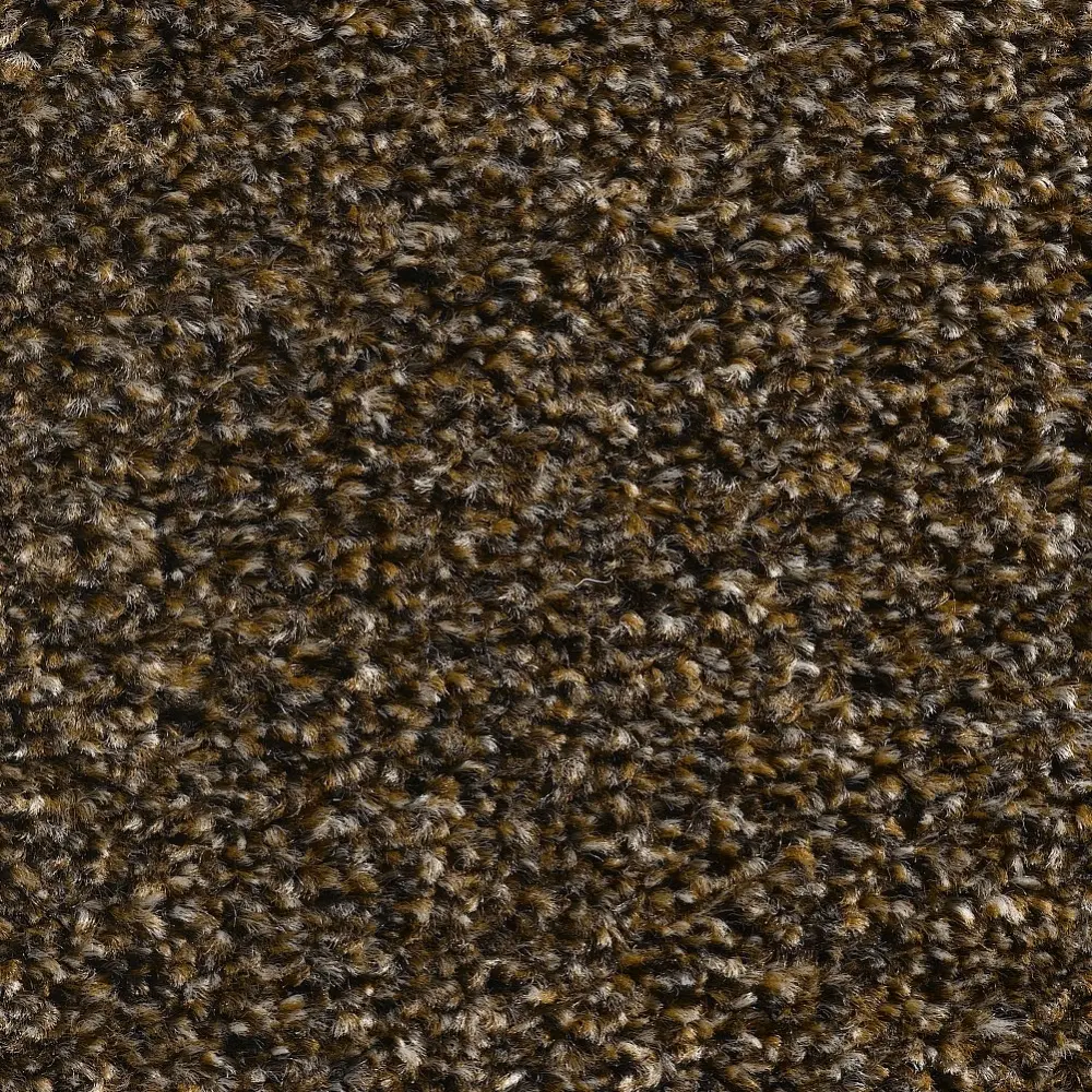 Deurmat Star 180 x 120cm kleur 94-bruin