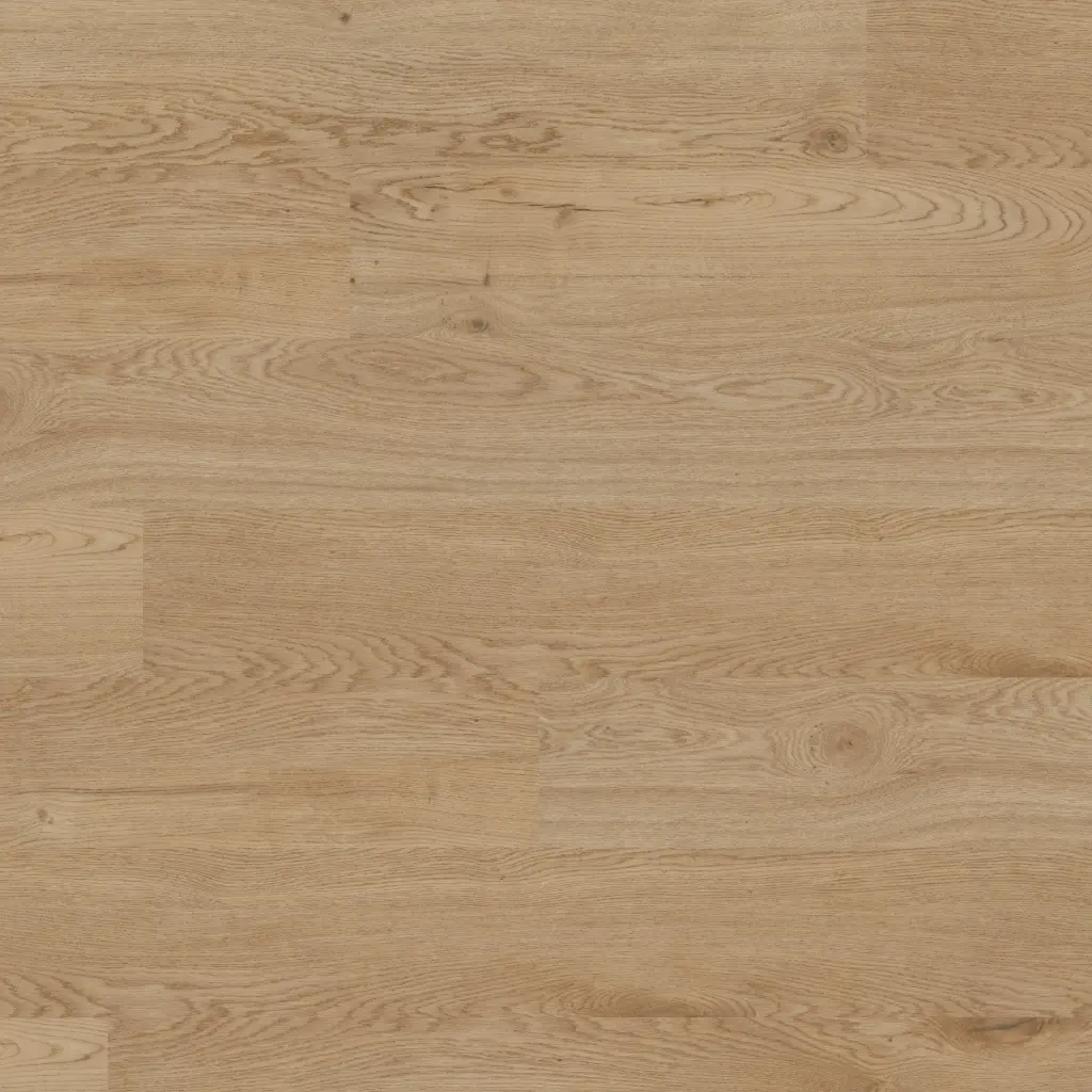 ter Hürne Sōya LVT Design Vloer 1 Wood Edition Perform Eiken Dublin 