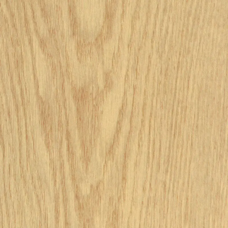 OTIUM Calyx mist