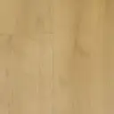 OTIUM Spice natural oil