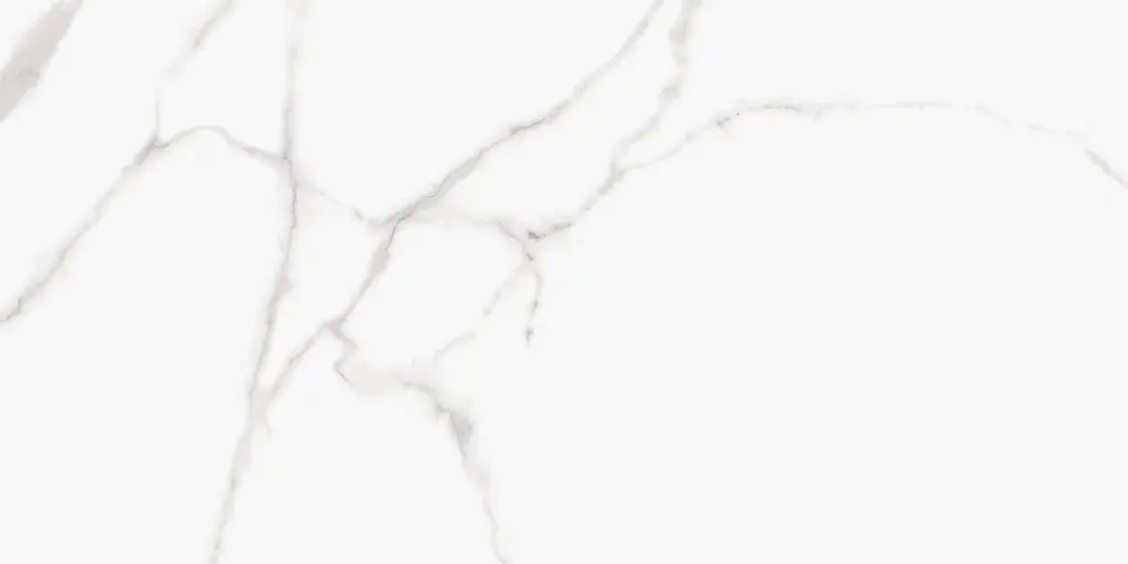 EasyTile Bianco Carrara tegel Porselein 60 x 120