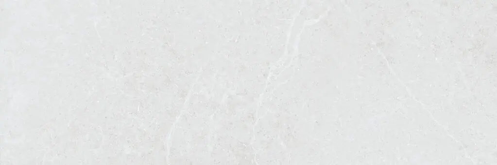 EasyTile Norwich muurtegel Porselein 40 X 120 FH