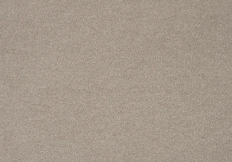 Lano Tapijt Pleasure 240 Room 11,5mm verschillende breedtes