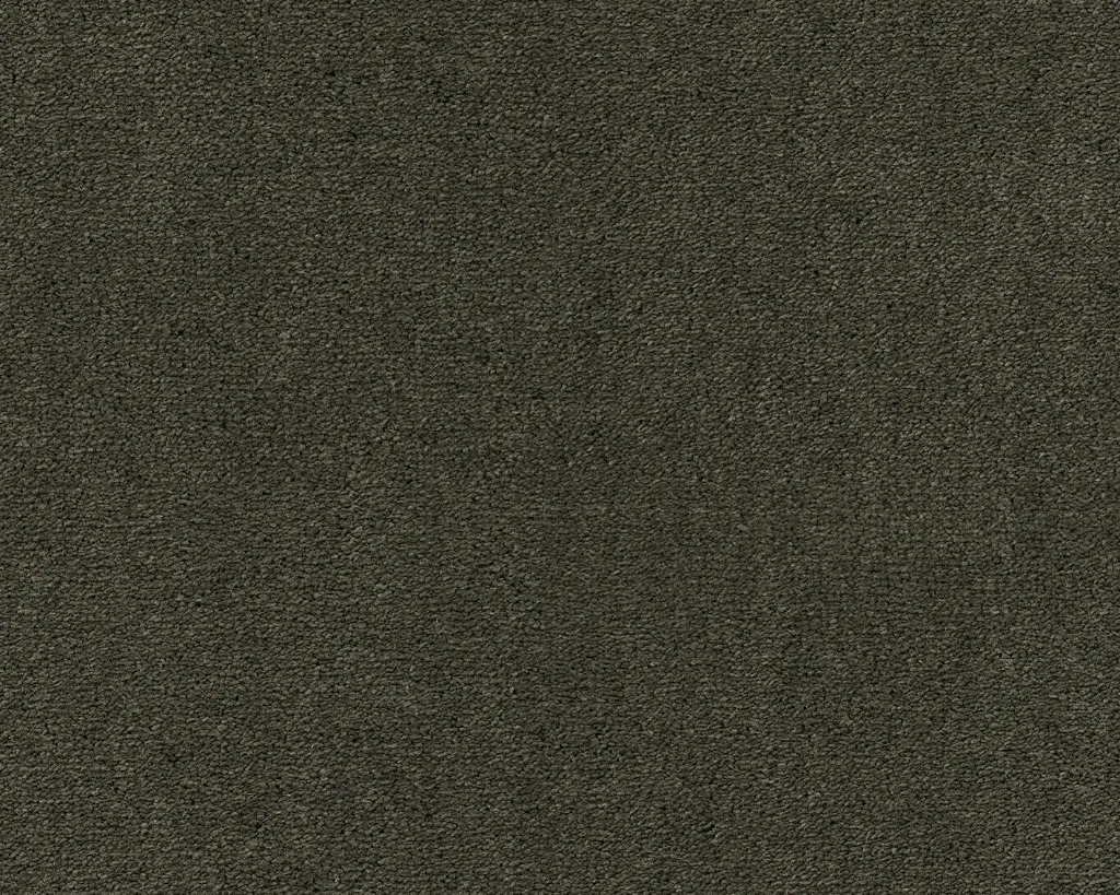 Lano tapijt Living Colours 3 Celeste 501 Olijf1 12mm verschillende breedtes