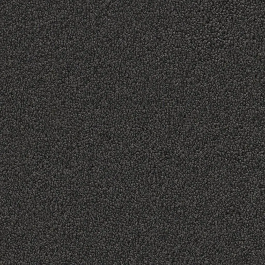 Maison Tapis tapijt Dallas kleur 0205 antraciet 14mm 4m breed