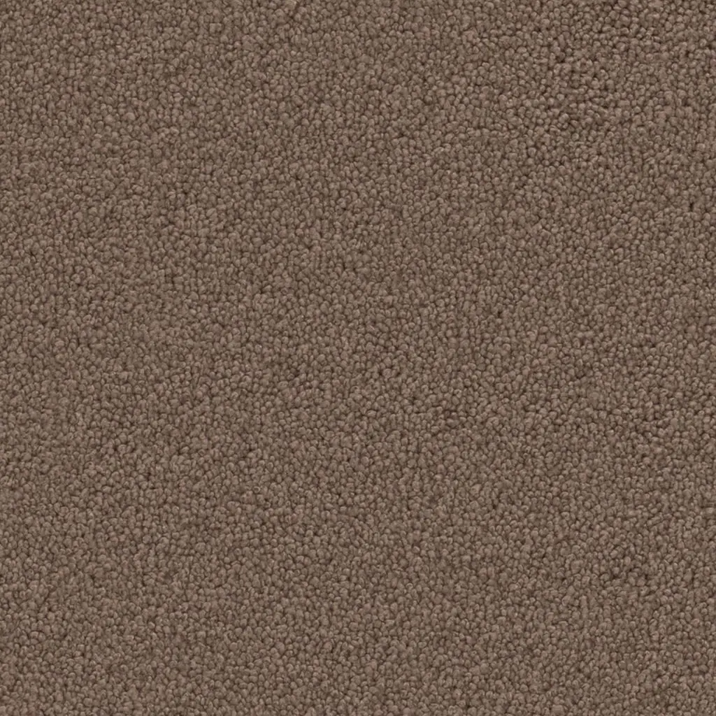 Maison Tapis tapijt Dallas kleur 0600 bruin 14mm 4m breed