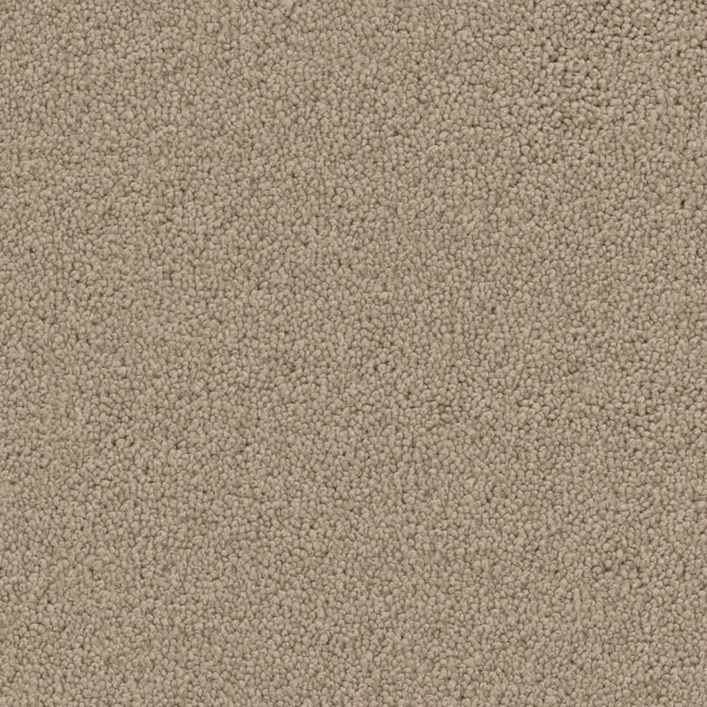 Maison Tapis tapijt Dallas kleur 0410 zand 14mm 4m breed