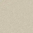 Maison Tapis tapijt Magnifico kleur 0015 cremewit 12mm 4m breed