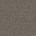 Maison Tapis tapijt Miami kleur 0119 grijsbruin 10mm 4m breed