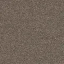 Maison Tapis tapijt Miami kleur 0535 taupe 10mm 4m breed