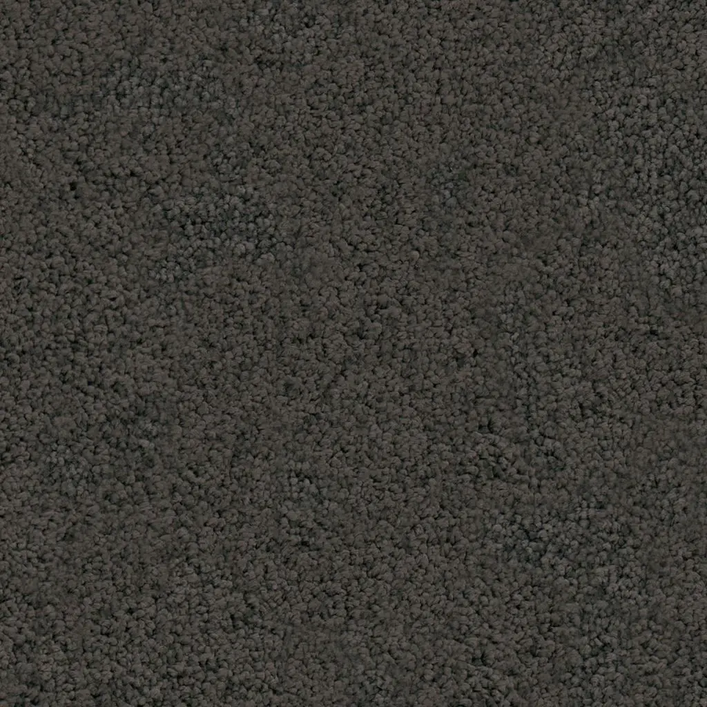 Maison Tapis tapijt Nevada kleur 0205 antraciet 16mm 4m breed