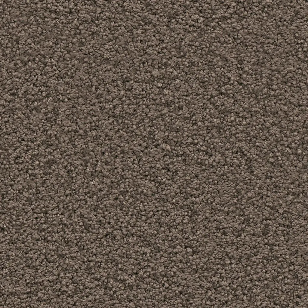 Maison Tapis tapijt Newberry kleur 0600 bruin 20mm 4m breed