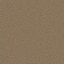 Maison Tapis tapijt Tide Gallia kleur 0410 zand 15mm 4m breed