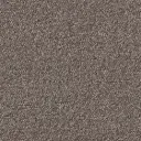 Associated Weavers tapijttegel Maxima 14 kleuren formaat 50x50