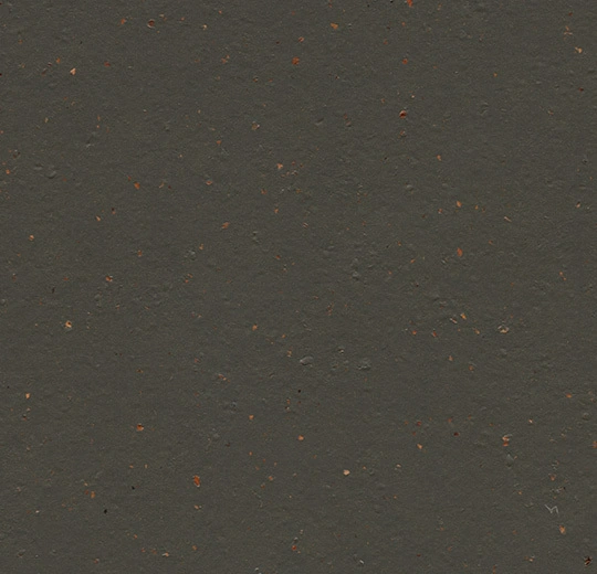 Forbo marmoleum Solid Cocoa kleur 3591 Black Tea 2,5mm 2m breed