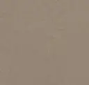Forbo marmoleum Solid Concrete kleur 3709 Silt 2,5mm 2m breed