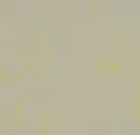 Forbo marmoleum Solid Concrete kleur 3733 Yellow Shimmer 2,5mm 2m breed