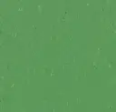 Forbo marmoleum Solid Piano kleur 3647 Nettle Green 2,5mm 2m breed