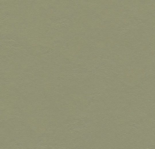 Forbo marmoleum Solid Walton kleur 3355 Rosemary Green 2,5mm 2m breed
