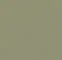 Forbo marmoleum Solid Walton kleur 3355 Rosemary Green 2,5mm 2m breed