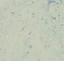 Forbo marmoleum Marbled Splash kleur 3429 Bluemoon 2,5mm 2m breed
