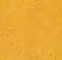 Forbo marmoleum Marbled Real kleur 3225 Dandelion 2,5mm 2m breed