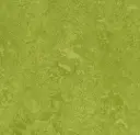 Forbo marmoleum Marbled Fresco kleur 3247 Green 2,5mm 2m breed