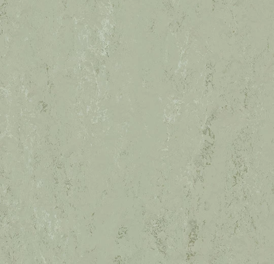 Forbo marmoleum tegel Modular Accent kleur t3769 Fresh Thyme 2,5mm 50x50cm