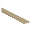 40119 Dilatatieprofiel zelfklevend 38mm decor 119 2m