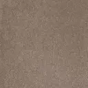 Associated Weavers tapijt Taurus kleur 39 14,5mm verschillende breedtes