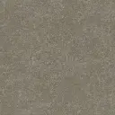 Interface - Vinyl tegel - Looselay - Walk of Life - Pumice - 4,5mm/0,55mm - 50cm x 50cm