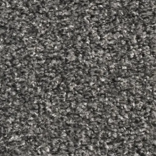 Deurmat Star 180x120mm kleur 75-grijs