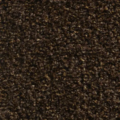 Deurmat Star 180x120mm kleur 95-bruin/taupe